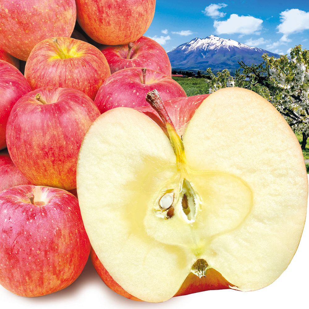 りんご 10kg サンふじ ご家庭用 青森産 送料無料 食品