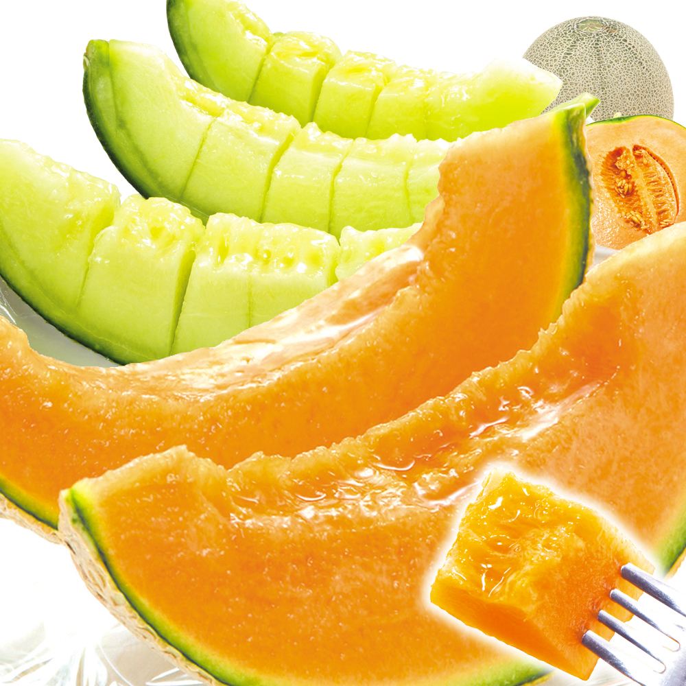 メロン 5kg 庄内お楽しみメロン 山形産 送料無料 食品