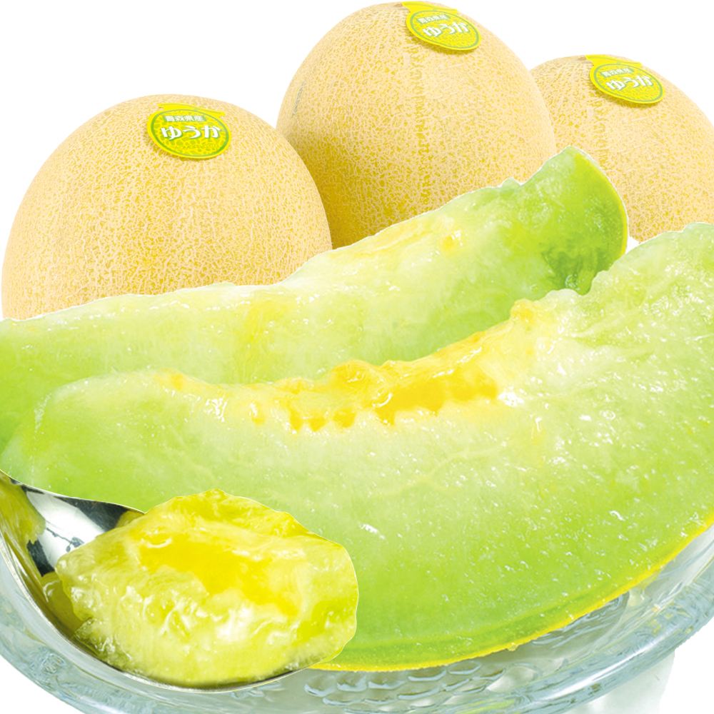 メロン 5kg ゆうかメロン 青森産 送料無料 食品