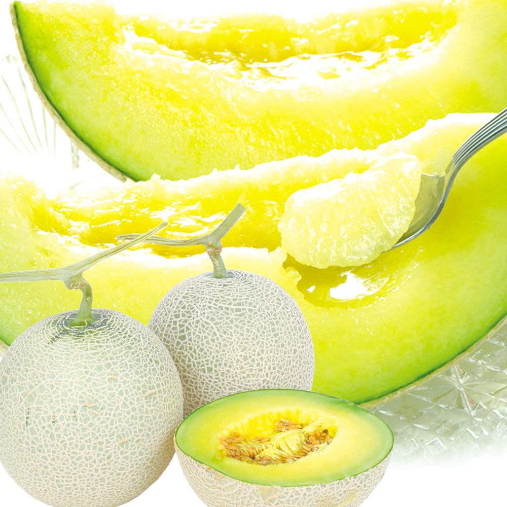 メロン 8kg お買得アールスメロン 愛知産 送料無料 食品