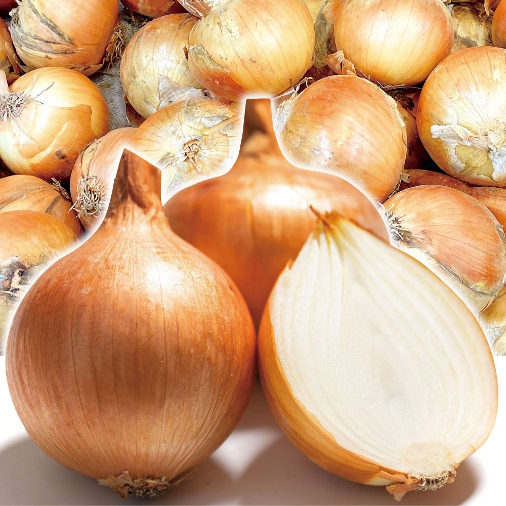 たまねぎ 10kg たまねぎ 中国産 送料無料 食品