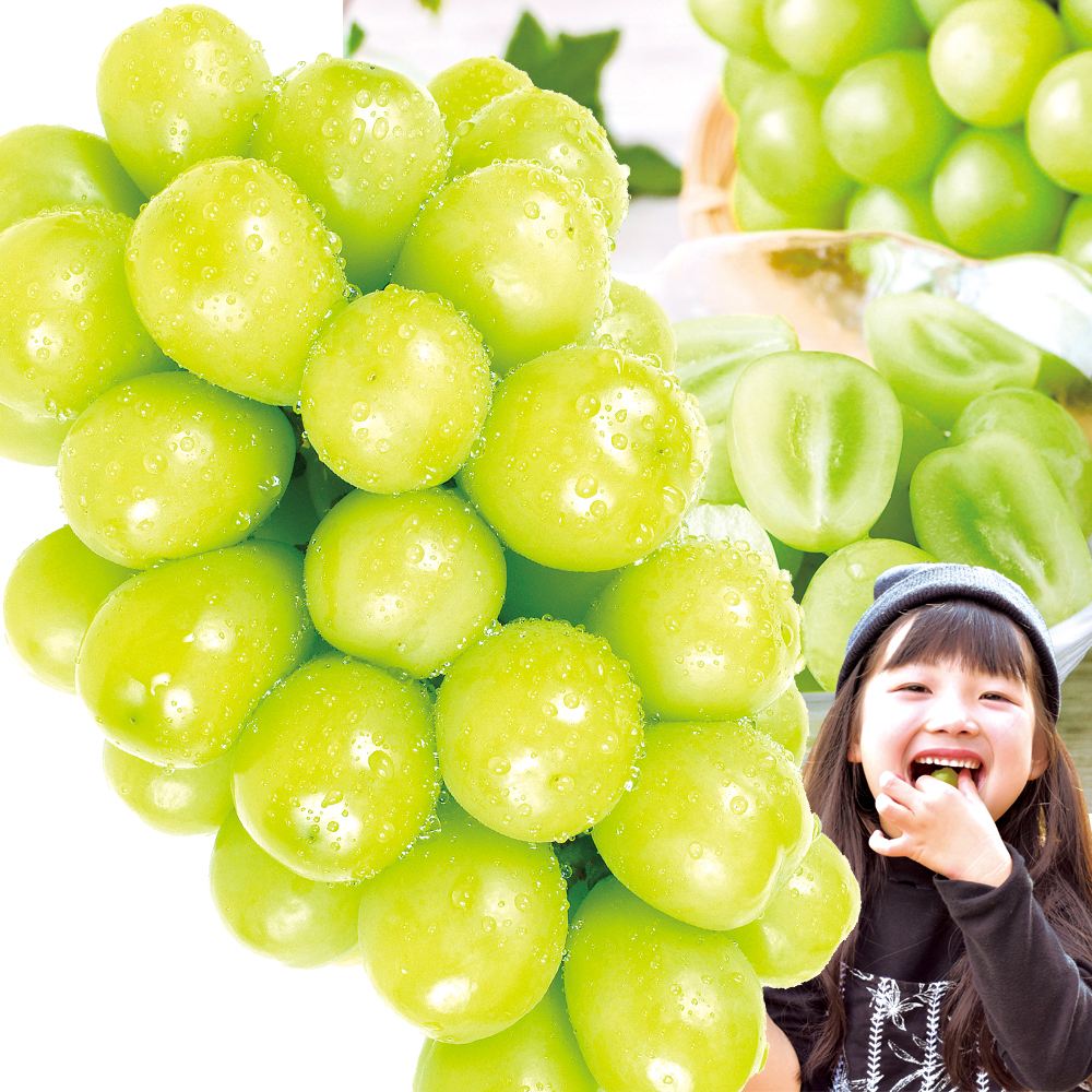ぶどう 1.2kg（2房） シャインマスカット お買得 山梨産 送料無料 食品