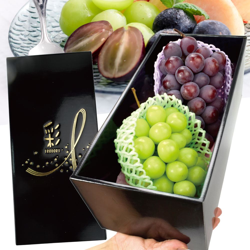 ぶどう シャインマスカット＆種なしピオーネセット 1.2kg（各1房） 化粧箱入り 送料無料 食品