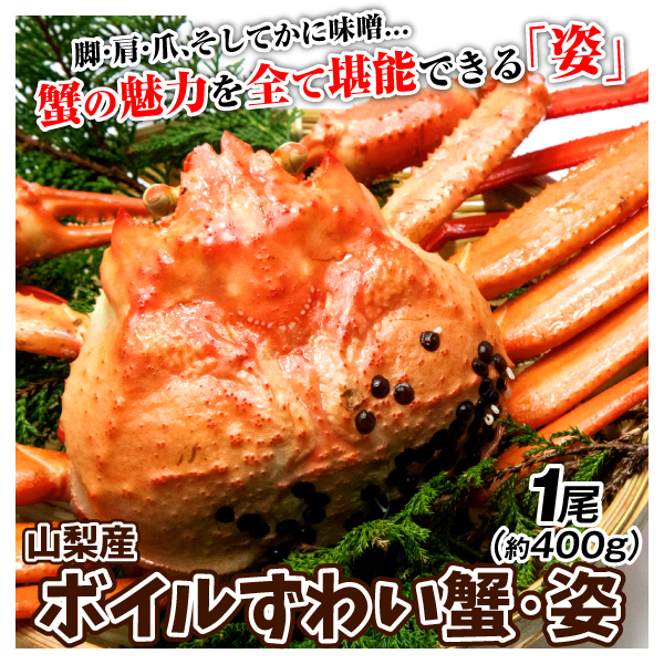 かに 姿 ボイルずわいがに 1尾 約400g 北海道産 ご家庭用 バルダイ種 蟹 冷凍便 食品