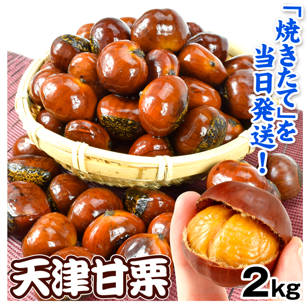 甘栗 焼きたて天津甘栗 2kg 無添加 殻付き 食品 送料無料