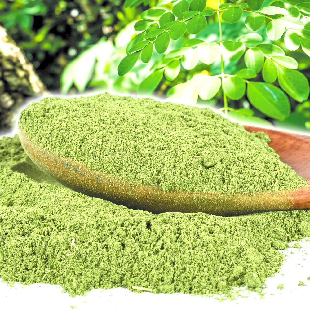 モリンガパウダー 2袋 食品