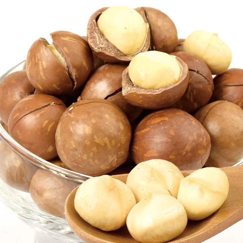 ロースト殻付きマカダミアナッツ 1袋 食品