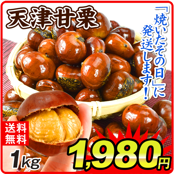 天津甘栗 1kg あまぐり 無添加 殻付き 焼きたて発送 送料無料 食品 ポスト投函