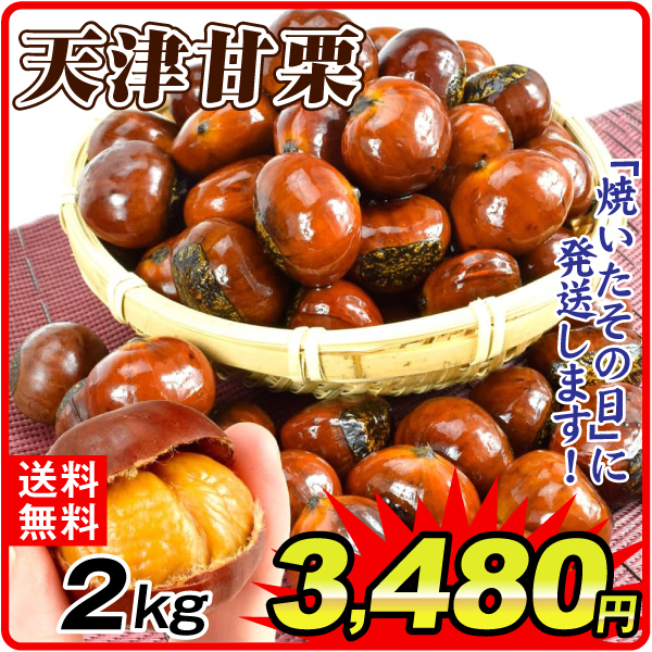 天津甘栗 2kg あまぐり 無添加 殻付き 焼きたて発送 送料無料 食品