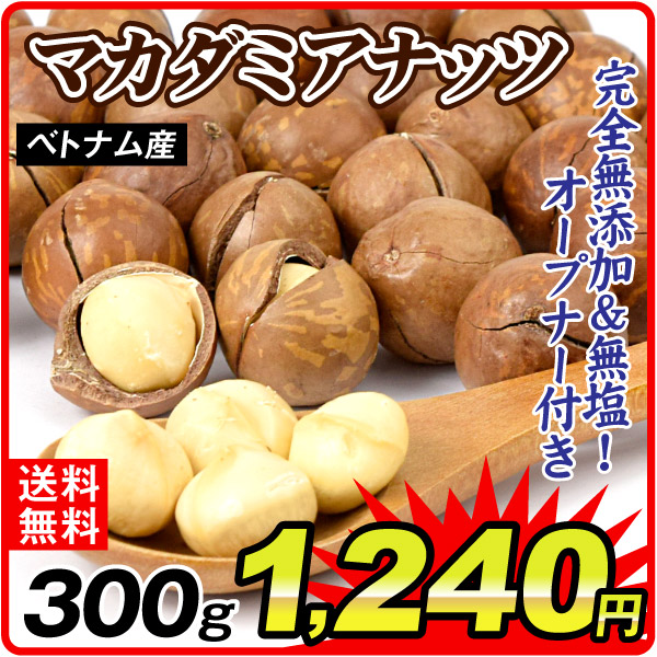 ロースト 殻付 マカダミアナッツ 1袋 食品 送料無料 ポスト投函