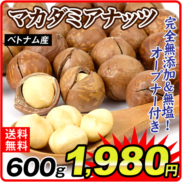 ロースト 殻付 マカダミアナッツ 2袋 食品 送料無料 ポスト投函