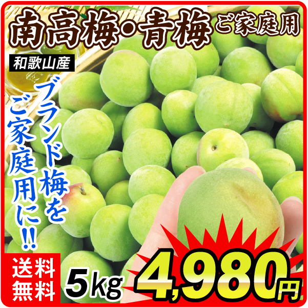 梅 5kg ご家庭用南高梅・青梅 和歌山産 送料無料 食品