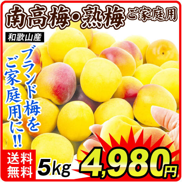 梅 5kg ご家庭用南高梅・熟梅 和歌山産 送料無料 食品