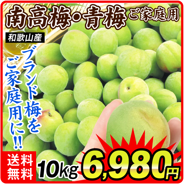 梅 10kg ご家庭用南高梅・青梅 和歌山産 送料無料 食品