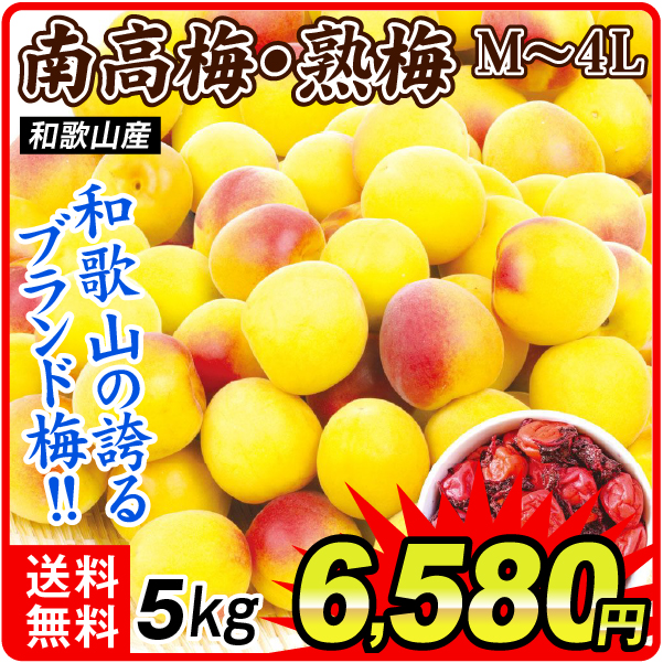 梅 5kg 紀州南高梅【熟梅】 和歌山産 送料無料 食品