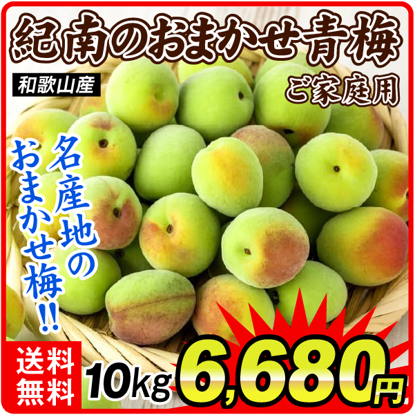 梅 10kg 紀南のおまかせ青梅 和歌山産 送料無料 食品