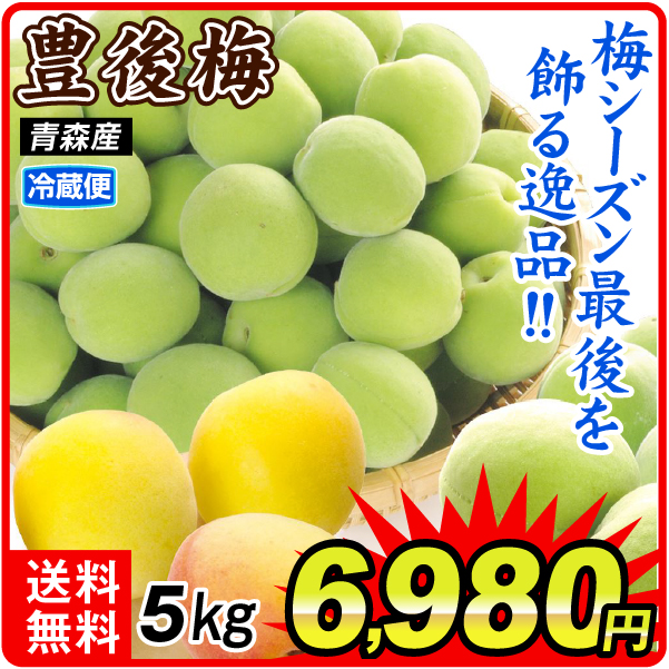 梅 5kg 豊後梅 青森産 冷蔵便 送料無料 食品