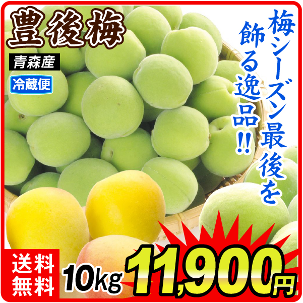梅 10kg（5kg×2箱） 豊後梅 青森産 冷蔵便 送料無料 食品