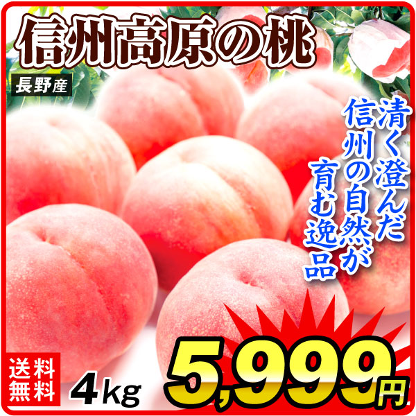 もも 4kg 信州高原の桃 長野産 送料無料 食品