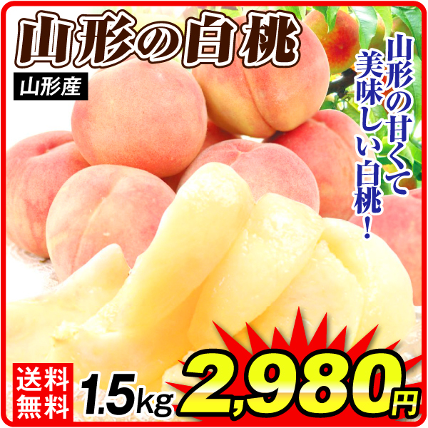 もも 1.5kg 山形の白桃 山形産 冷蔵便 送料無料 食品