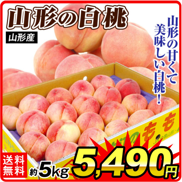 もも 約5kg 大特価 山形の白桃 山形産 冷蔵便 送料無料 食品