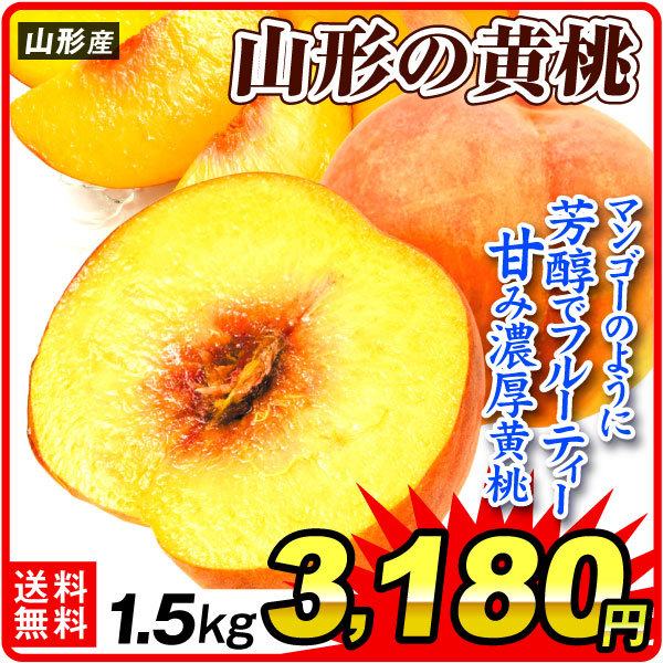 もも 1.5kg 山形の黄桃 山形産 冷蔵便 送料無料 食品