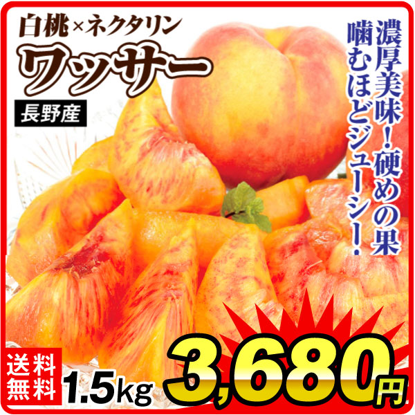 もも 1.5kg ワッサー 長野産 送料無料 食品