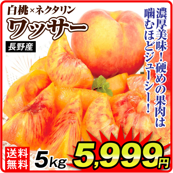 もも 5kg ワッサー 長野産 送料無料 食品