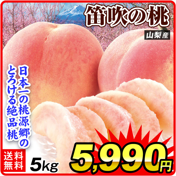 もも 山梨産 笛吹の桃 5㎏ 送料無料 食品
