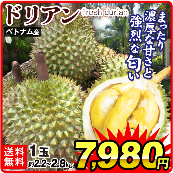 ドリアン 1玉（約2.2～2.8kg） ベトナム産 送料無料 食品