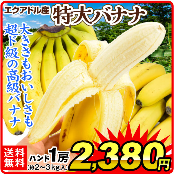 特大バナナ 1房（約2～3kg） バナナハンド エクアドル産 送料無料 食品