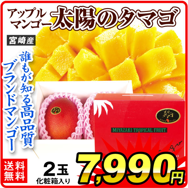 マンゴー 宮崎産 太陽のタマゴ 大玉2玉（3L～4L）化粧箱 完熟 アップルマンゴー 芒果 送料無料 食品
