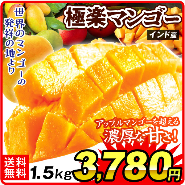 マンゴー 約1.5kg 極楽マンゴー インド産 送料無料 食品