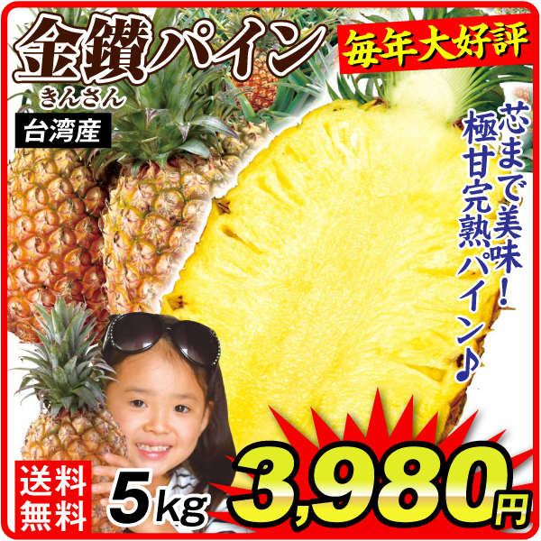 パイン 5kg 金讃パイン 台湾産 送料無料 食品