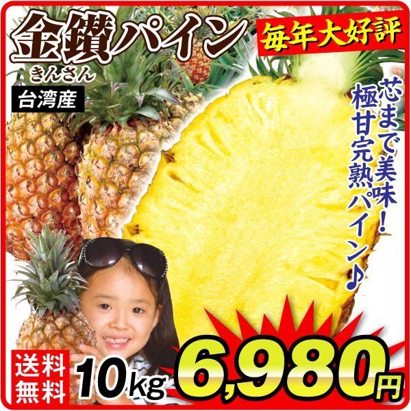 パイン 10kg 金讃パイン 台湾産 送料無料 食品