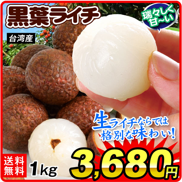 ライチ 1kg 生ライチ・黒葉 冷蔵便 台湾産 送料無料 食品