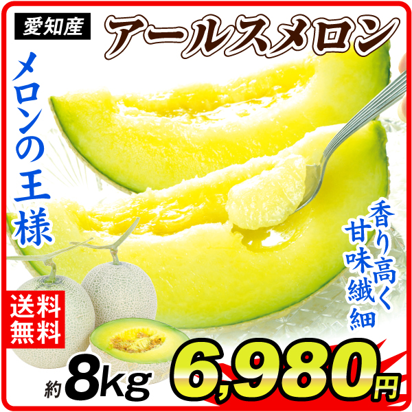 メロン 約8kg お買得アールスメロン 愛知産 送料無料 食品