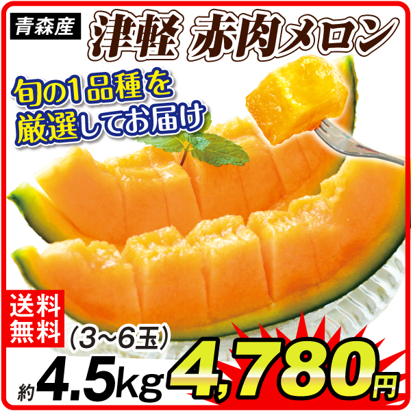 メロン 約4.5kg おまかせつがる赤肉メロン 青森産 送料無料 食品