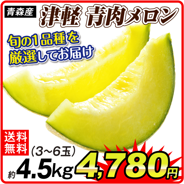 メロン 約4.5kg おまかせつがる青肉メロン 青森産 送料無料 食品