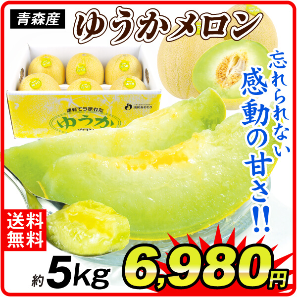 メロン 約5kg ゆうかメロン青森産 冷蔵便 送料無料 食品