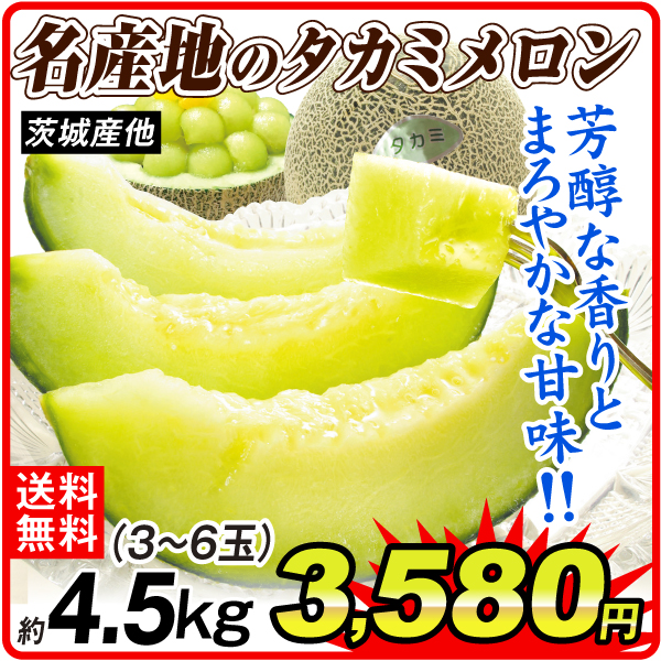 メロン 約5kg 名産地のタカミメロン 茨城産他 送料無料 食品