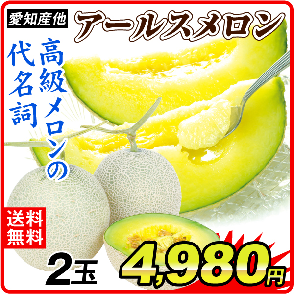 メロン 2玉 アールスメロン 産地おまかせ 送料無料 食品