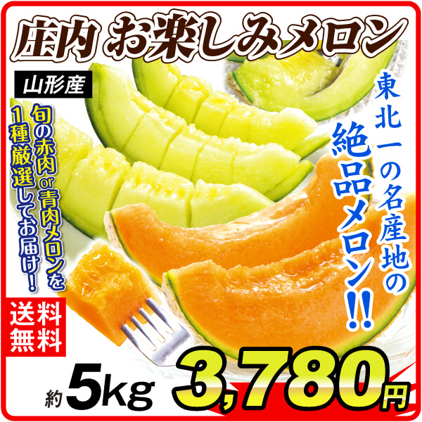 メロン 約5kg 庄内お楽しみメロン 山形産 送料無料 食品