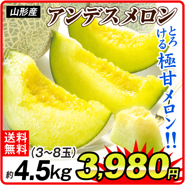 メロン 約4.5kg ご家庭用アンデスメロン 山形産 送料無料 食品