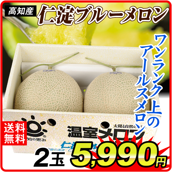 メロン 高知産 仁淀ブルー アールスメロン 2玉 送料無料 食品