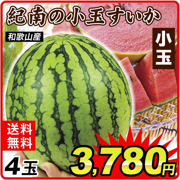 スイカ 4玉 紀南の小玉すいか和歌山産 送料無料 食品