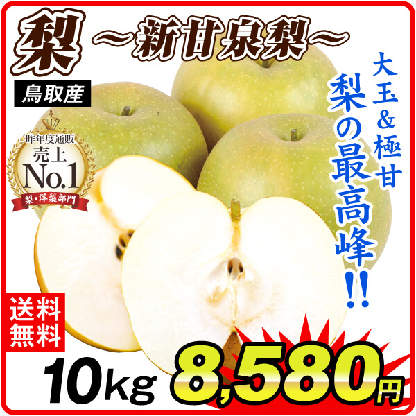 梨 10kg 新甘泉梨 鳥取産 送料無料 食品