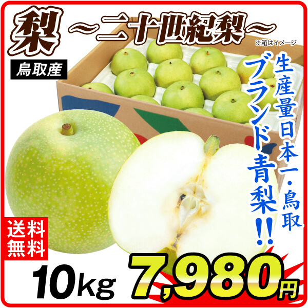 梨 10kg 二十世紀梨（正品） 鳥取産 送料無料 食品