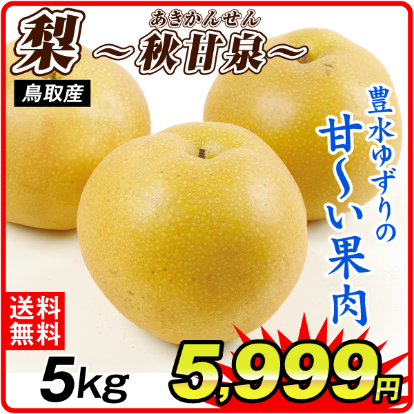 梨 5kg 秋甘泉梨 鳥取産 送料無料 食品