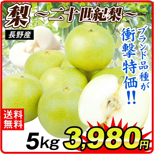 梨 5kg ご家庭用 二十世紀梨 長野産 送料無料 食品